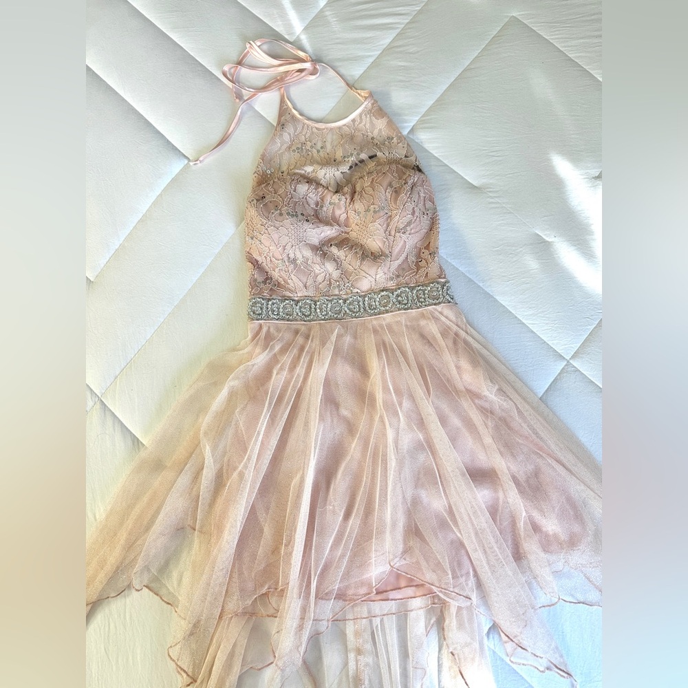 Fairy-like Blush Pink Gown
